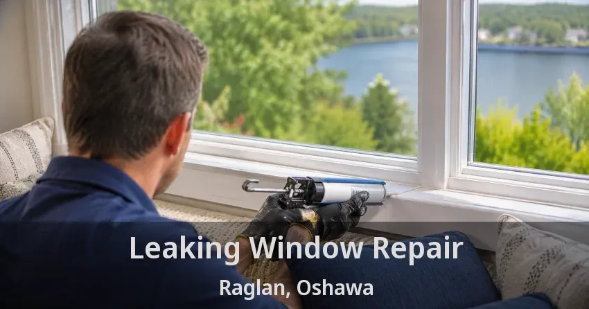 Leaking Window Repair Raglan, Oshawa - ON